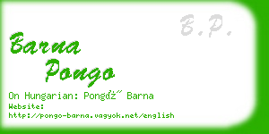 barna pongo business card
